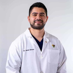 Dr. David Alvarez, M.D.