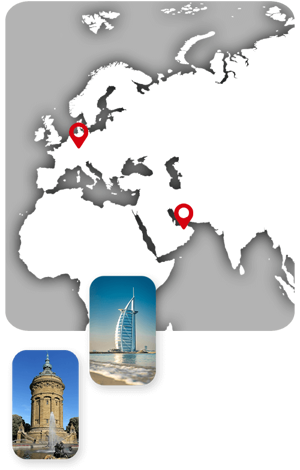 CellReg Institute Mannheim