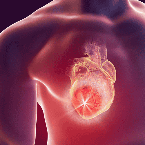 Heart Disease Stem Cell Therapy Package in Warsaw – $9,500