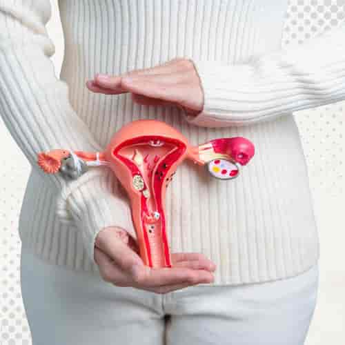 Advanced Stem Cell Treatment in Thailand Package for Ovarian Rejuvenation by Vega Clinic Bangkok