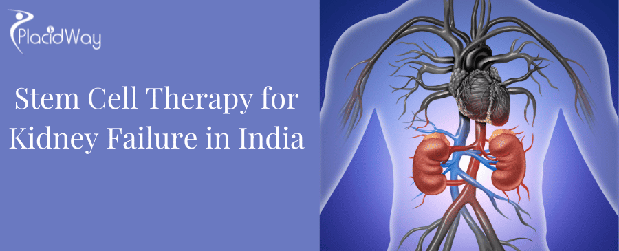 Stem Cell Therapy for Kidney Failure in India thumbnail