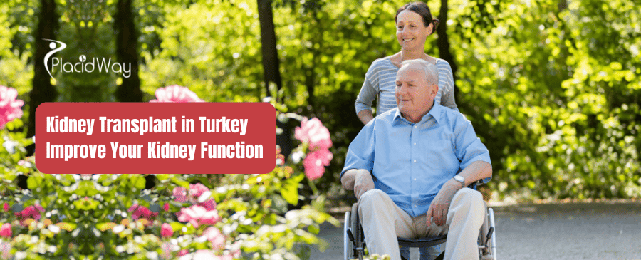 Kidney Transplant in Turkey - Improve Your Kidney Function thumbnail