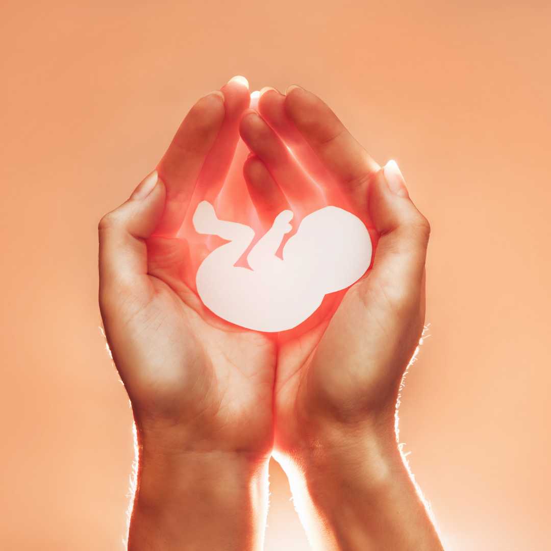 Embryo Freezing Cyprus: A Comprehensive Guide to Preserving Fertility for the Future