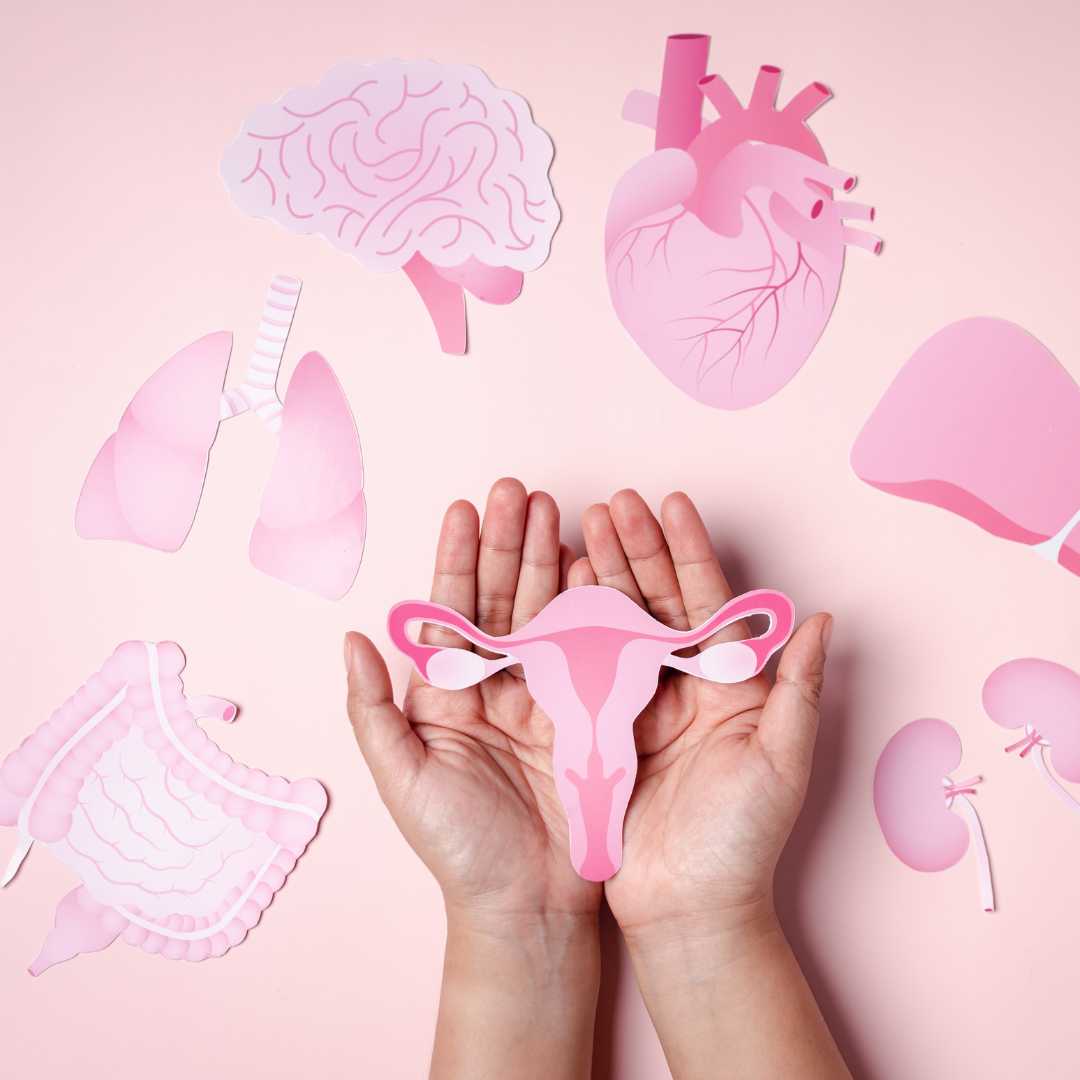 Low Ovarian Reserve: A Detailed Guide to Understanding and Managing Fertility