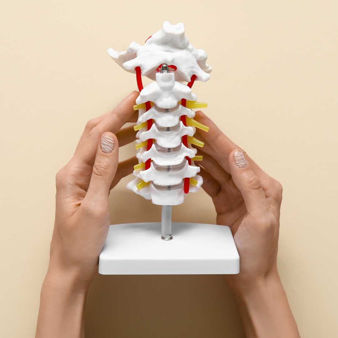 Spine Surgery in Turkey for Kuwaiti Patients – Quick Relief from Severe Back Pain