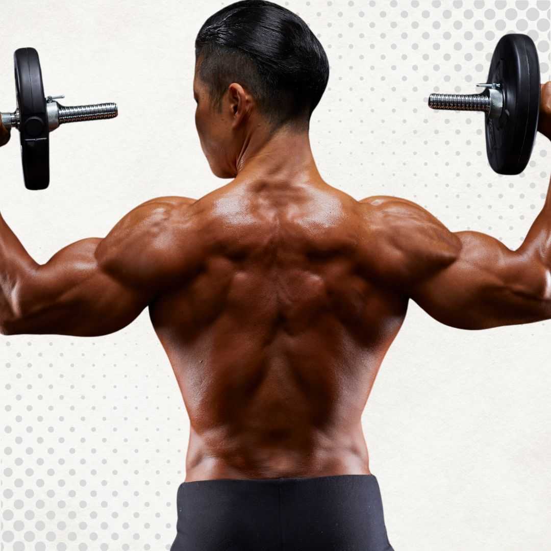 Shoulder Replacement in Tijuana, Mexico