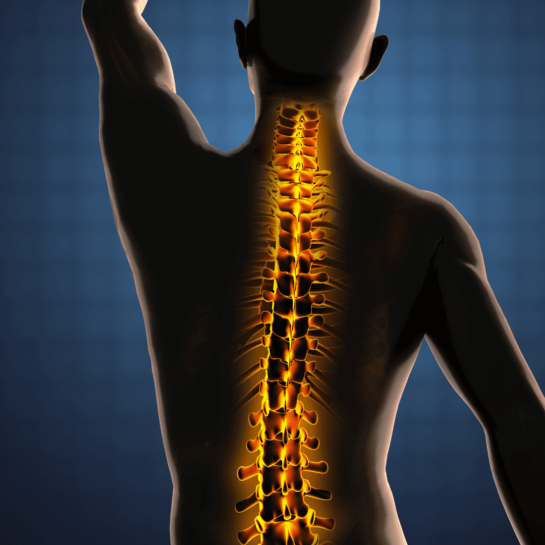 Endoscopic Discectomy Surgery in Bursa/İstanbul, Turkey