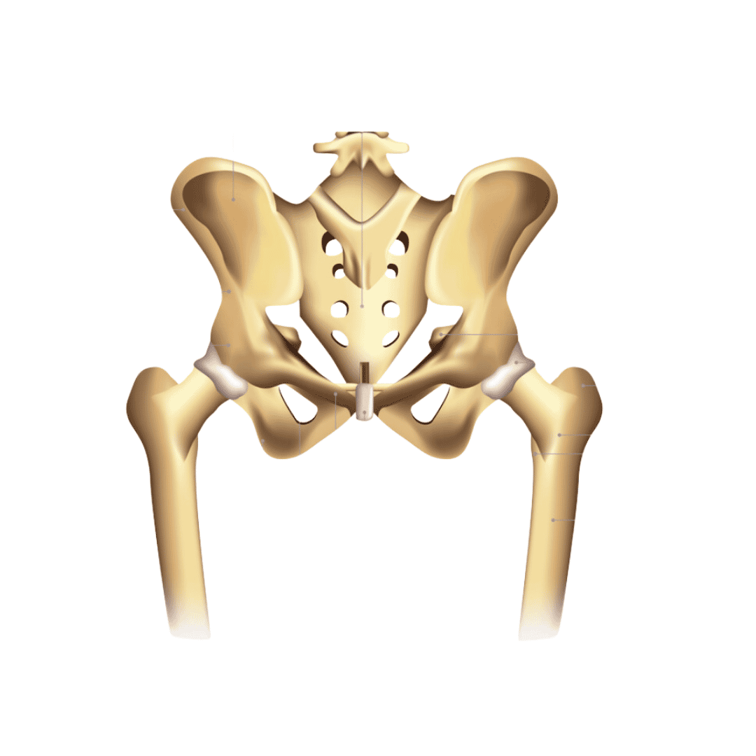 Stem Cell Therapy for Osteoarthritis in India – Package by GIOSTAR Hospital Bengaluru