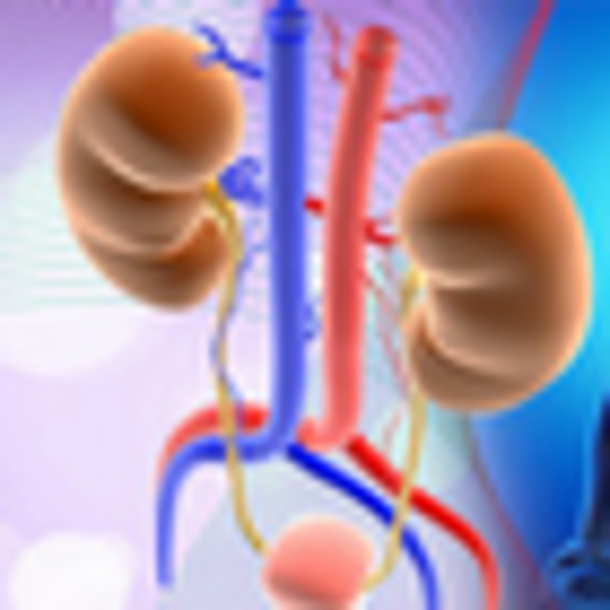 Best Kidney Transplant Hospitals in the World