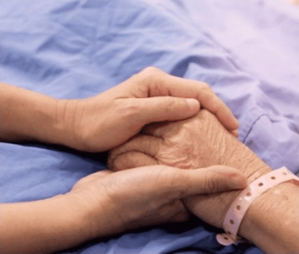 Best Rehab Centers in Mexico | Top Addiction Treatment Options