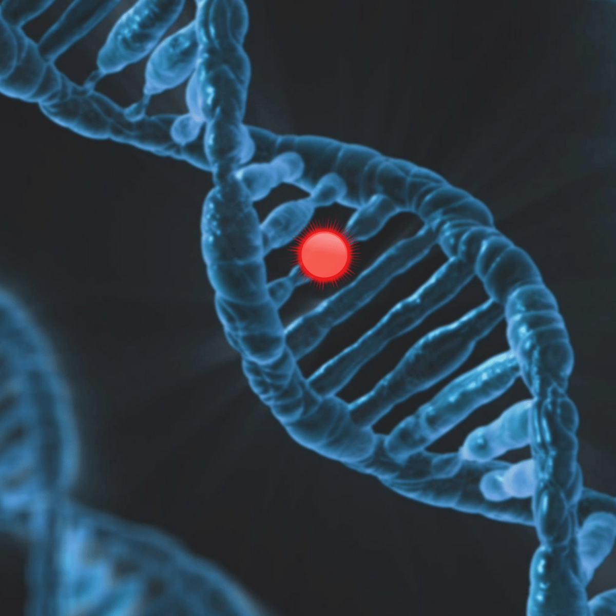 Cyprus IVF Success Rates: How Preimplantation Genetic Testing (PGT) and NGS Boost Fertility Outcomes