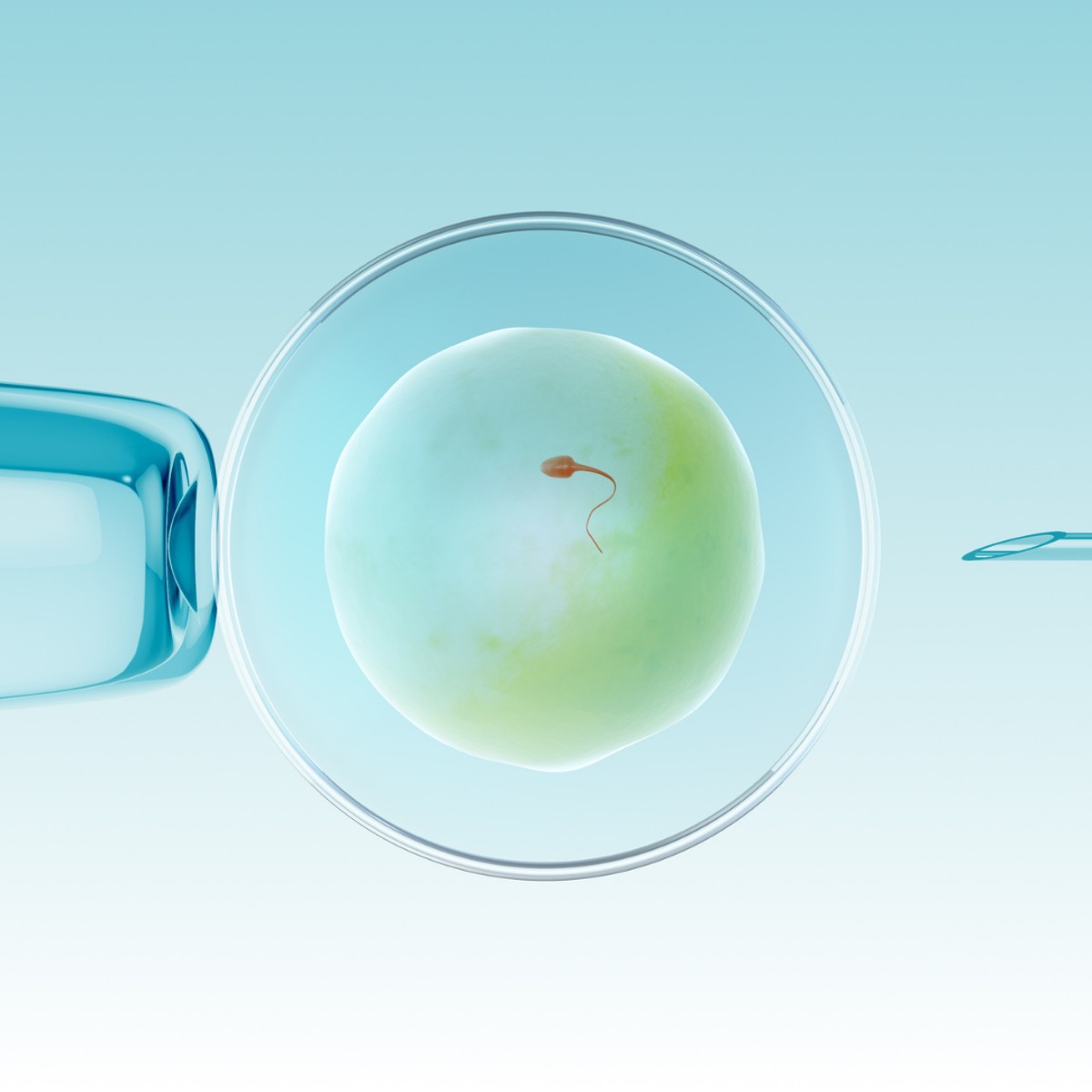 Everything You Need to Know About Egg Freezing Cyprus for Fertility Preservation