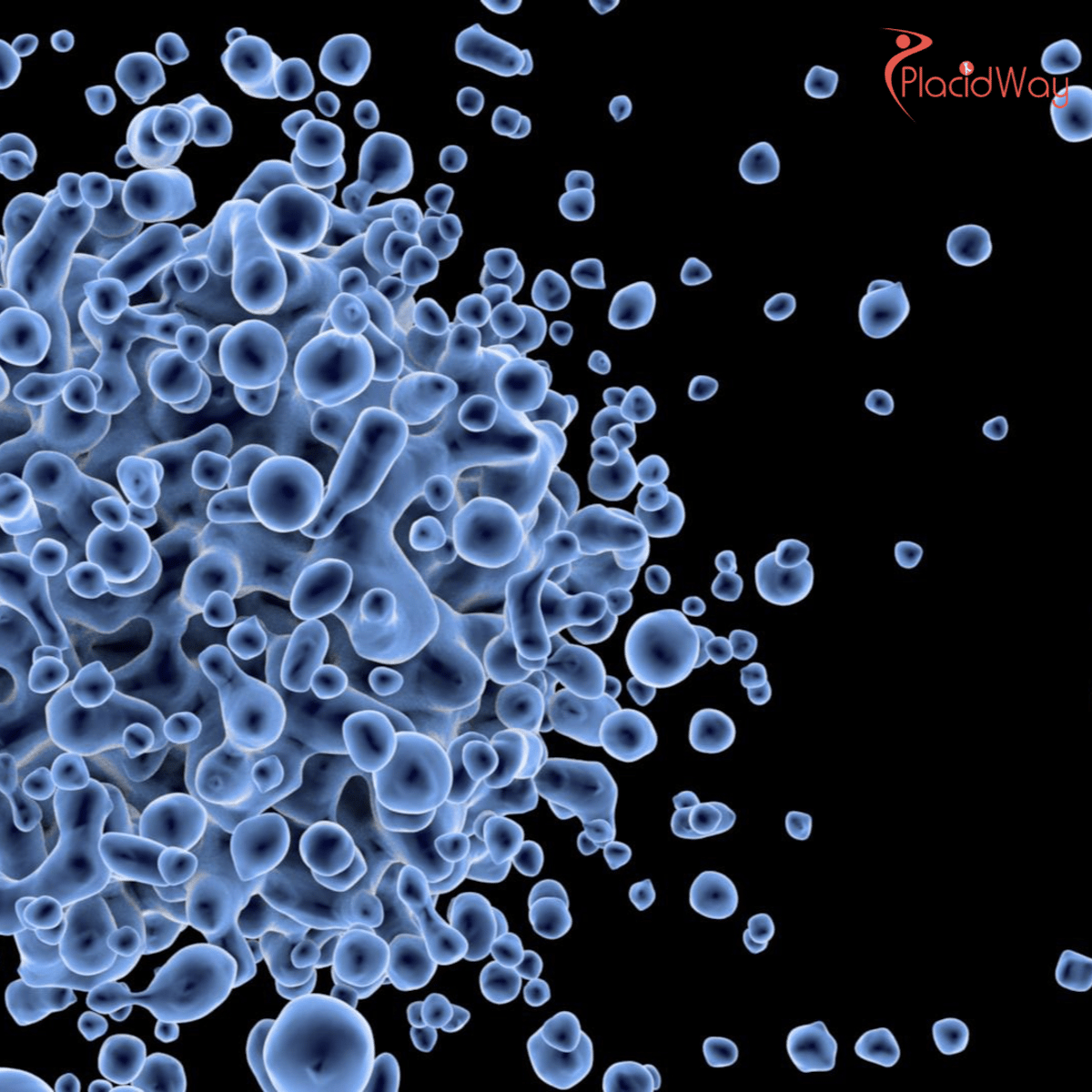 Why CAR T-Cell Therapy is Gaining Attention for Autoimmune Diseases