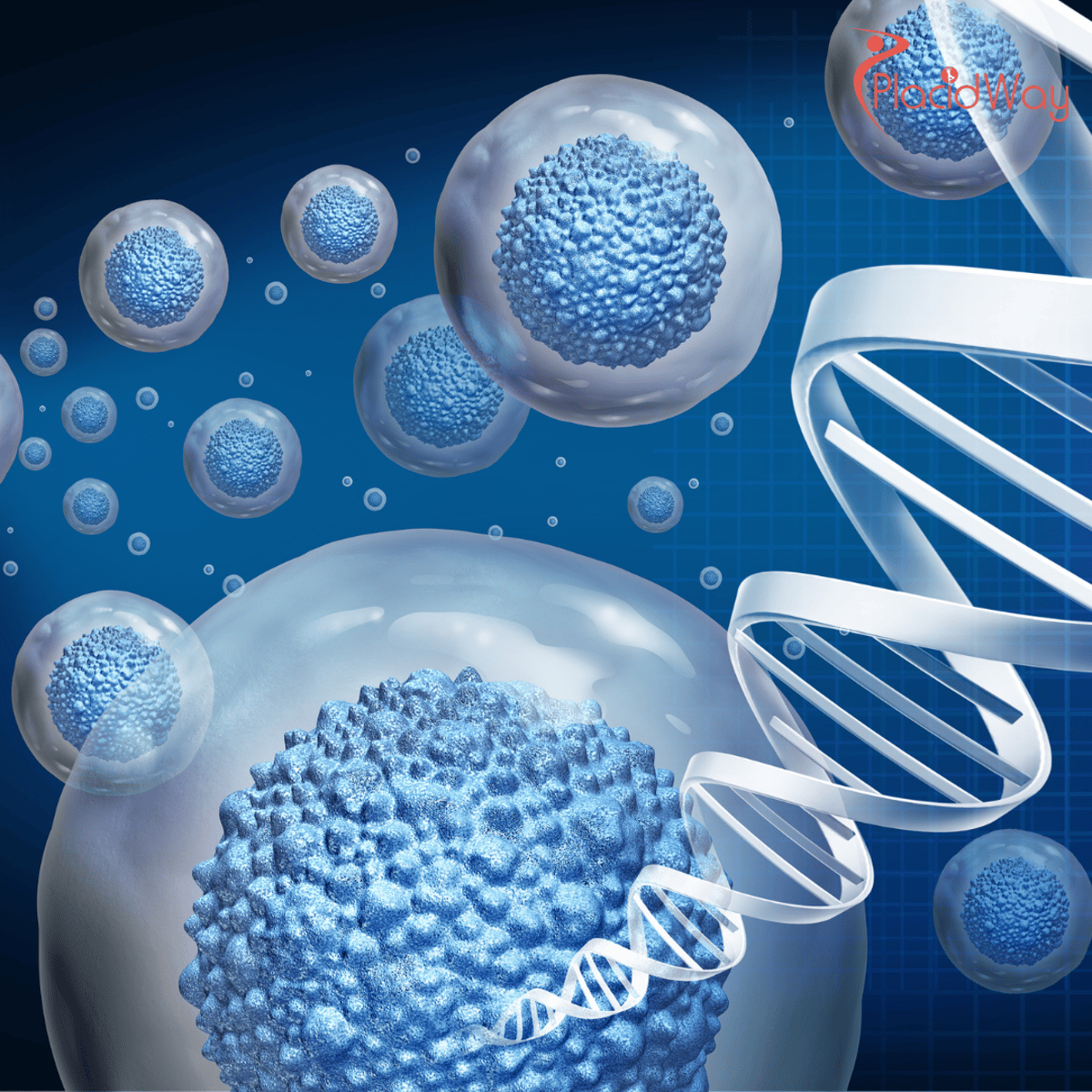 How Colombia Became a Hub for Regenerative Medicine Attracting South American Neighbors