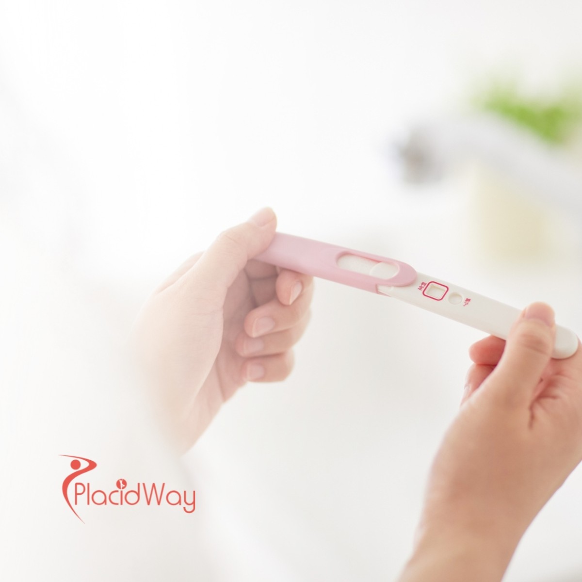 Fertility Treatment Options in Guadalajara, Mexico: A Complete Guide for New Yorkers