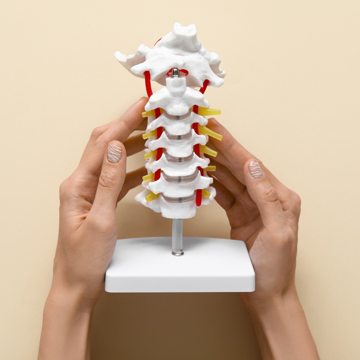 Spine Surgery in Turkey for Kuwaiti Patients – Quick Relief from Severe Back Pain