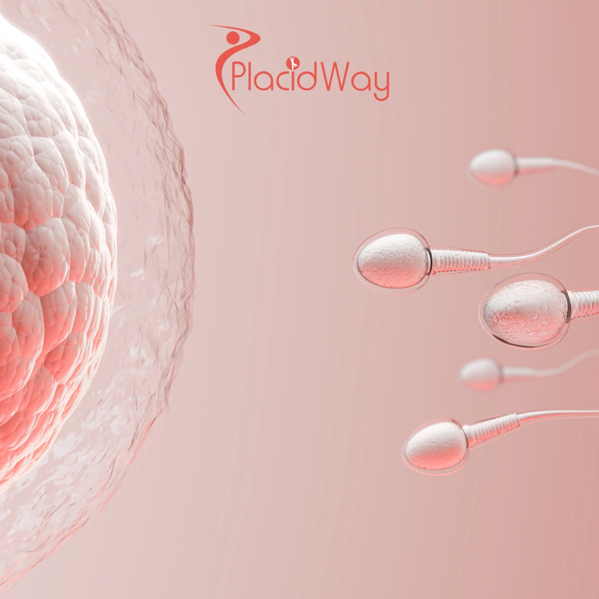 Fertility Treatment in Turkey for New York City Patients