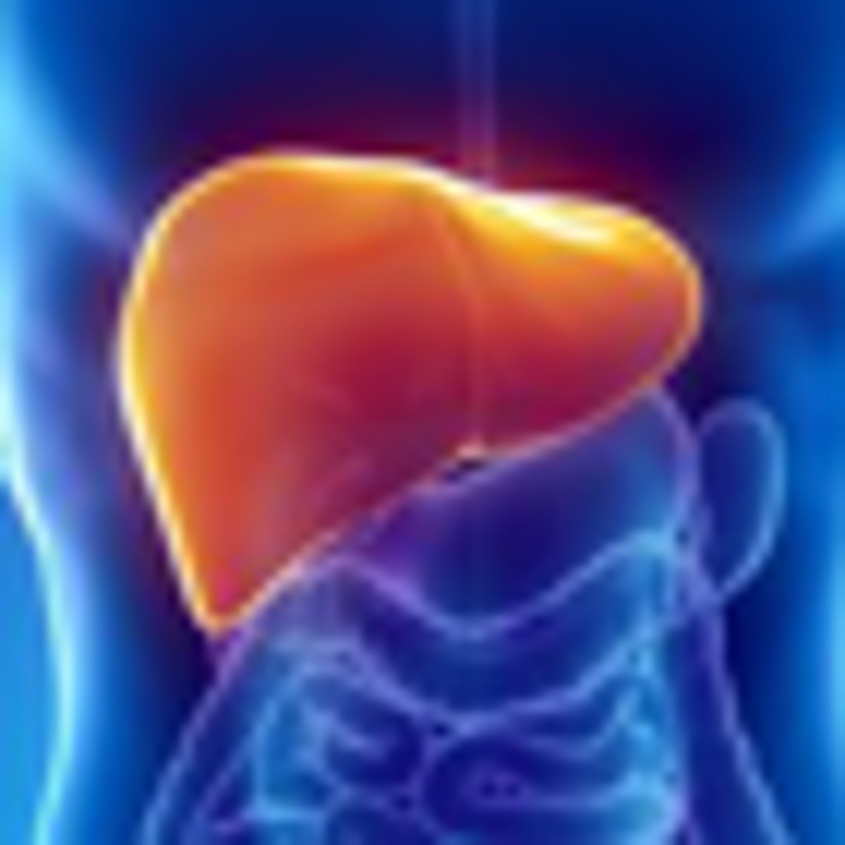 Successful Liver Transplant of Infant in Istanbul, Turkey