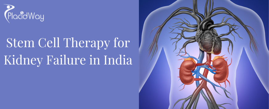 Stem Cell Therapy for Kidney Failure in India