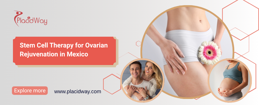 Stem Cell Therapy for Ovarian Rejuvenation in Mexico